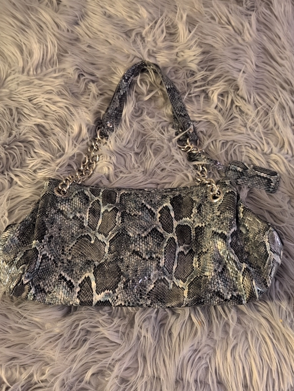 Sofia Vergara Purse